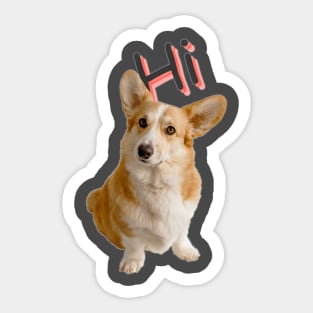 Hi Dogy Colour T-shart Design Sticker